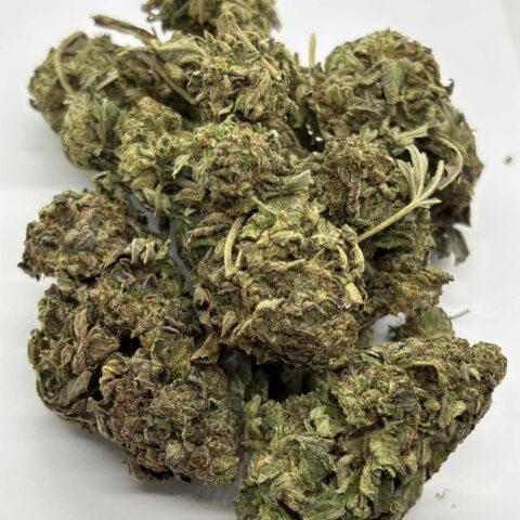 GREENHOUSE- White Gold  ( NEW BATCH NO REFUNDS/EXCHANGES.)