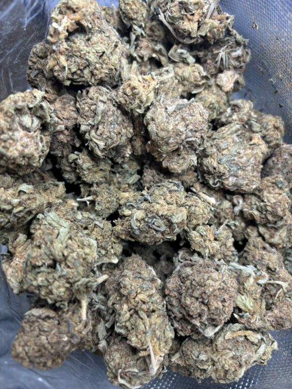 OUTDOOR - Gelato (NO REFUNDS/ EXCHANGES!) Buy 3oz get 1 free