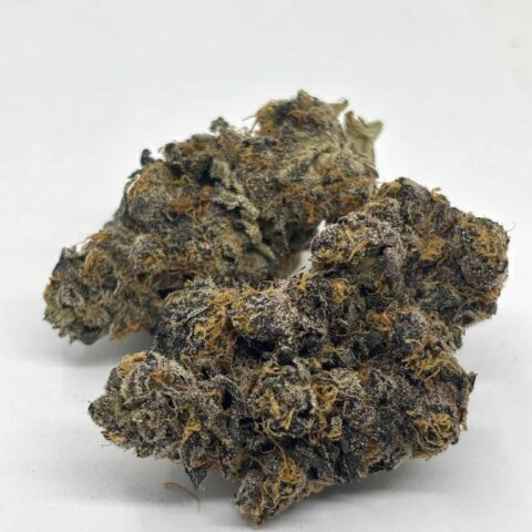 Cherry Marshmallow (AAAA+) KOOTENAY EXOTICS