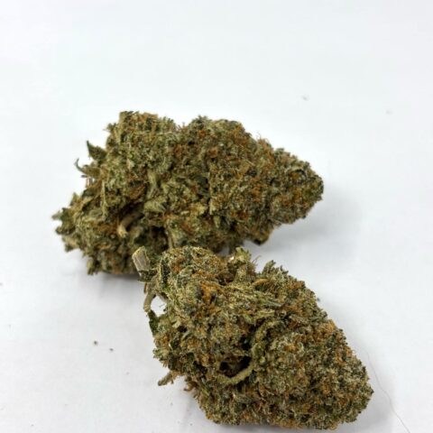 Coastal Pink  (AAAA+)