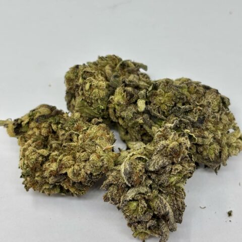 Black Tuna (AAA+)