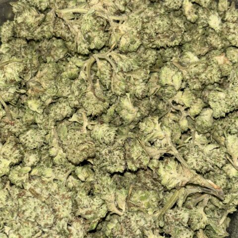 UNICORN POOP *Smalls*