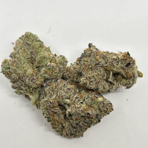 Lemon Cherry Gelato (AAAA+) KOOTENAY EXOTIC