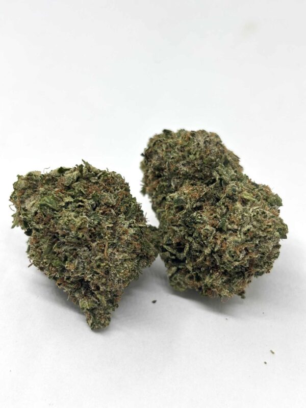 MotorBreath (AAAA+)