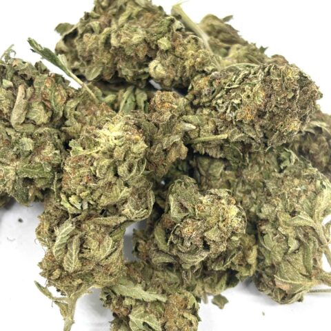 Blue Cheese (AAA+)