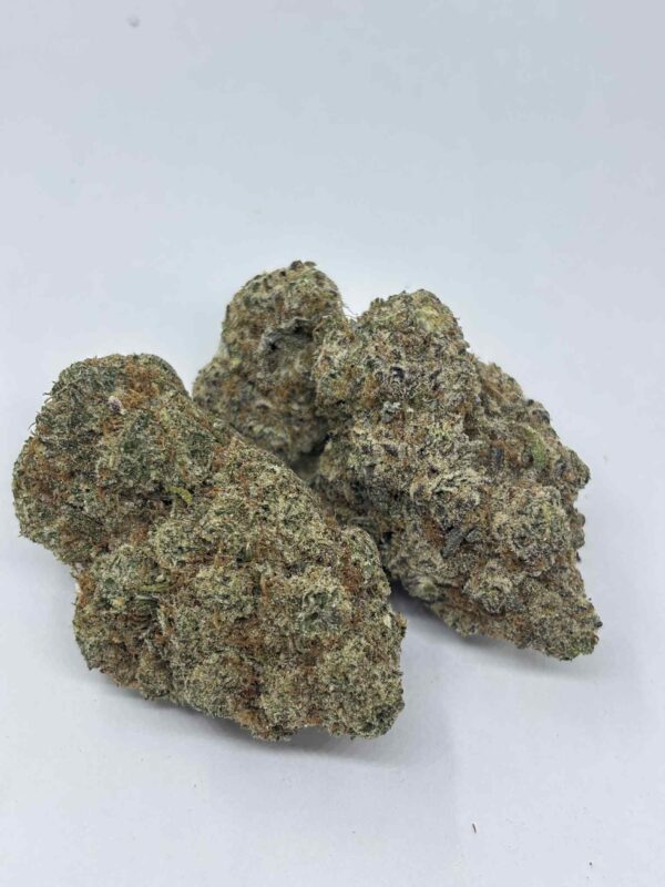 Jigsaw (AAAA+) KOOTENAY EXOTIC
