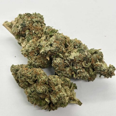 Astral  Pink  (AAAA+)