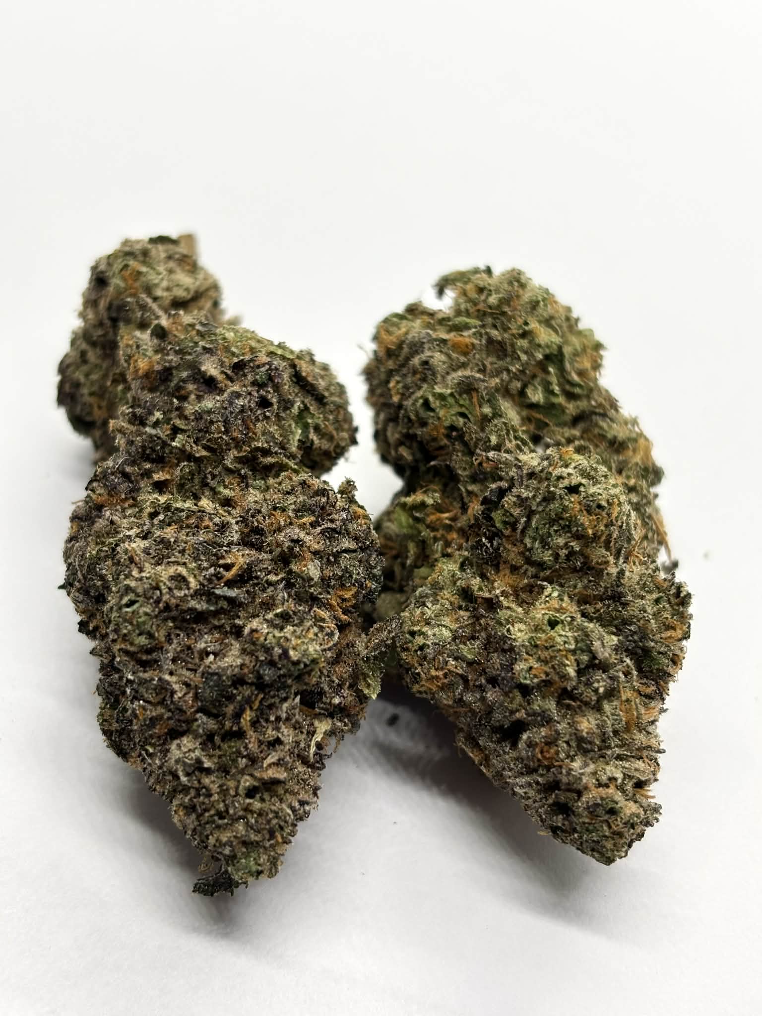 Permanent Marker (AAAA+) KOOTENAY EXOTIC