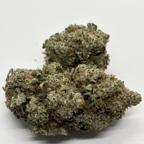 Blueberry Bomb Beast (AAA+)