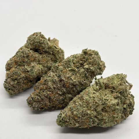 Cosmic Glue (AAAA+) KOOTENAY EXOTIC