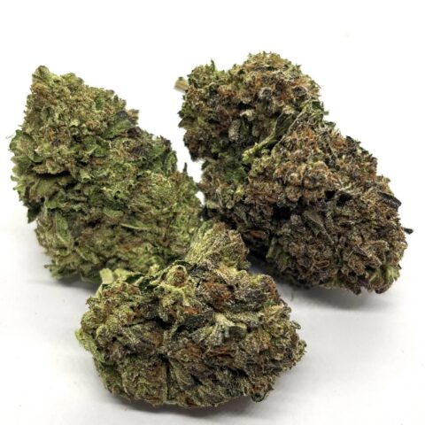 Gorilla Balls (outdoor) NEW!!!!!