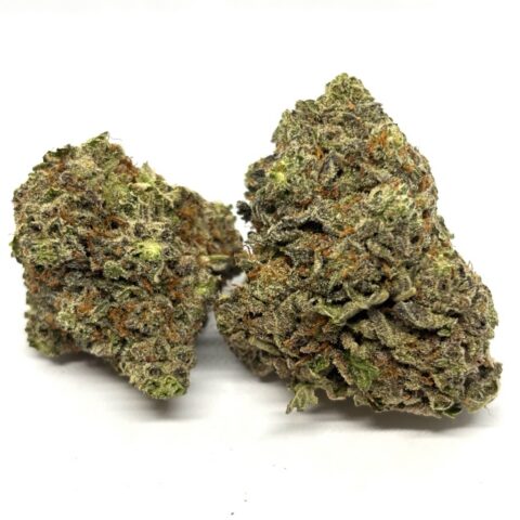 BLUEBERRY BEAST ( AAAA+)