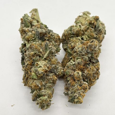 Cherry Gas (AAAA+) KOOTENAY EXOTIC (sale on oz only)