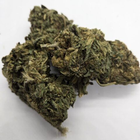 BC Big Bud Manager Special**** $300 pound  ( no refunds or exchanges)