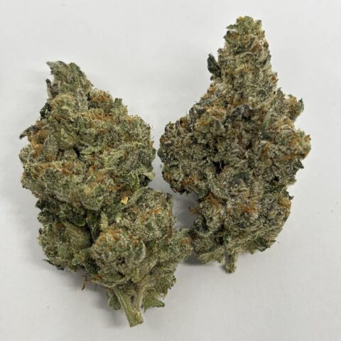 PINK BELLAGIO (AAAA+) KOOTENAY EXOTIC