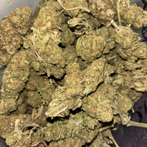 Animal Cookies (AA+)