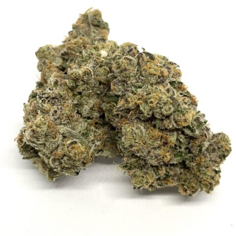 Randy Marsh (AAAA+) KOOTENAY EXOTIC