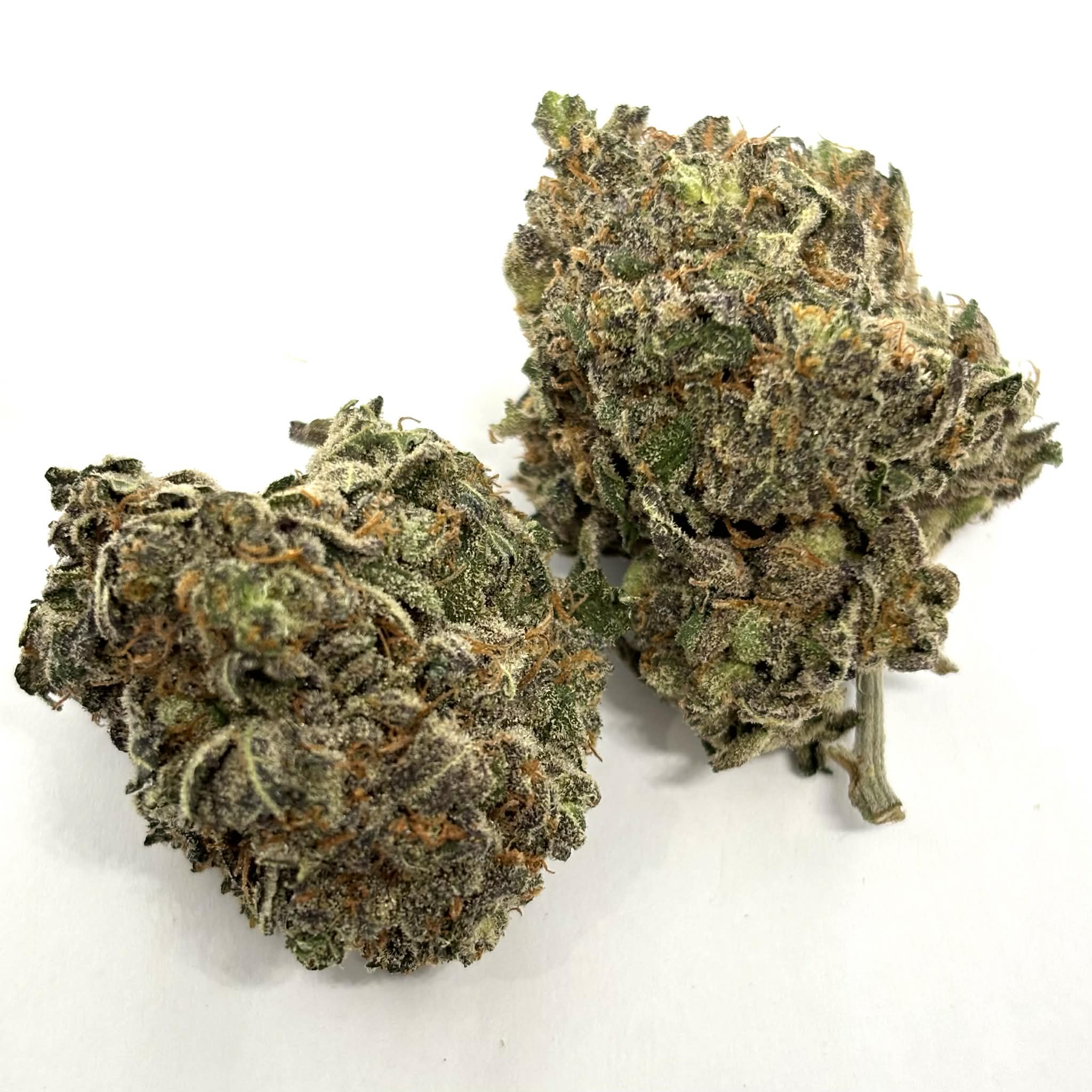 Permanent Marker ( AAAA+)