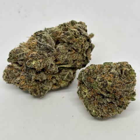 Gouda Berry (AAA+)