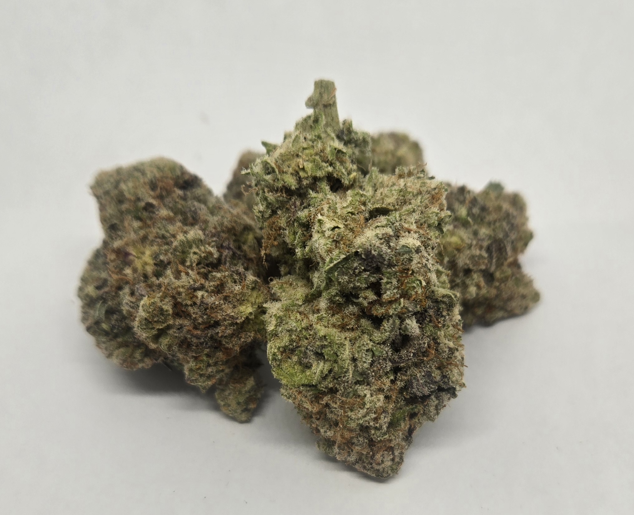 Frosted Mac #1 ( AAAA+) KOOTENAY EXOTIC *Manager's Special $140 on oz only*