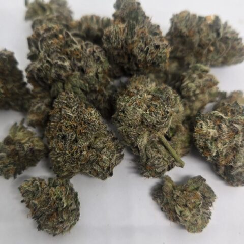 BRASS KNUCKLES (+AAAA) Kootenay   NEW!!!!!