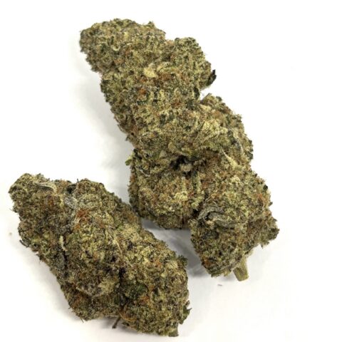 Guava-(KOOTENAY EXOTIC) (AAAA+)