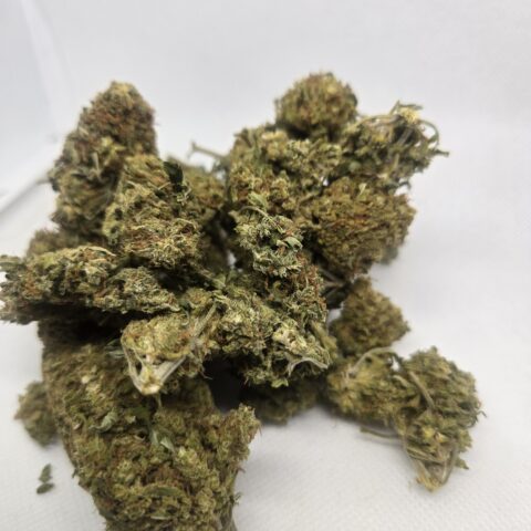 NEW!! RAINBOW KUSH ( OUTDOOR )