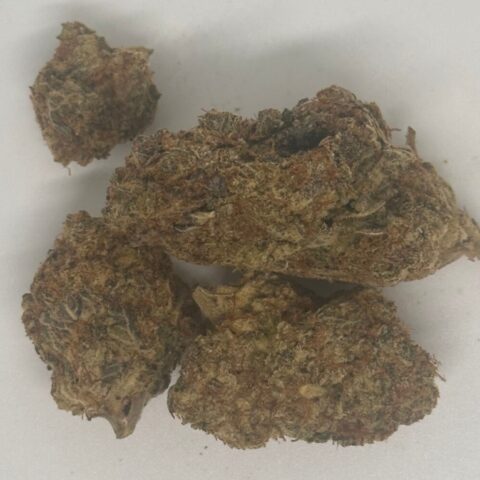 New !!!! Orange Daiquiri (AAAA+)  Managers special $140 oz