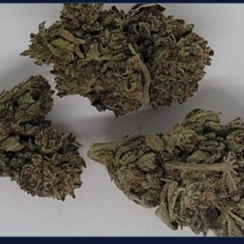 Purple Punch (AAA+) New!!