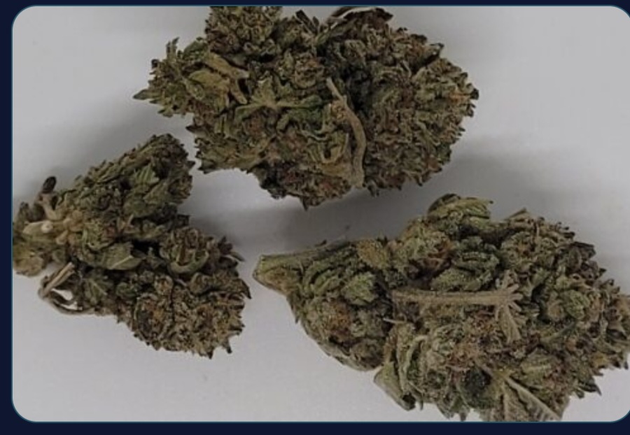 Purple Punch (AAA+) New!!