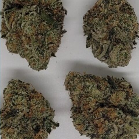 New !!! Super Boof(AAA+)