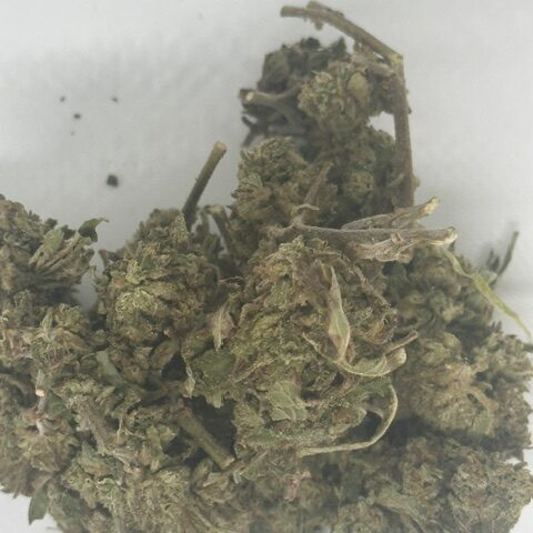 Gorilla Glue *NEW BATCH*