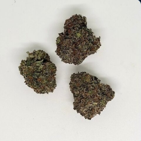 Bacio Gelato  ( AAA+)