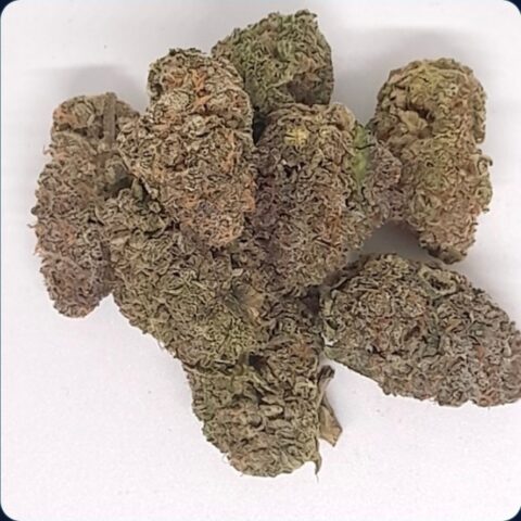 Kush Co OG : NEW KOOTENAY EXOTIC