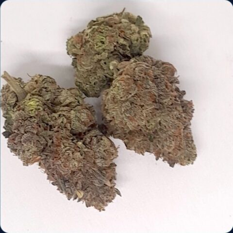 RUNTZ  NEW KOOTENAY EXOTIC