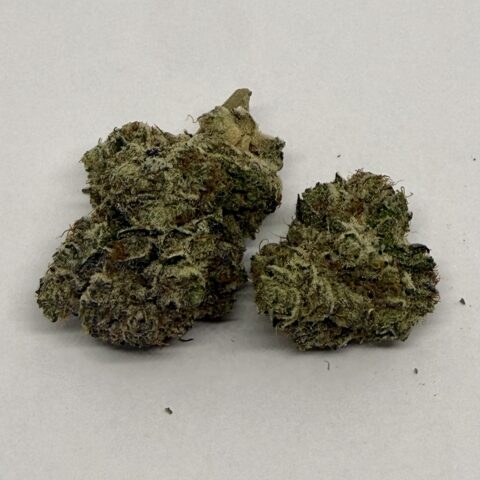 DINO POOP ( NEW KOOTENAY EXOTIC)